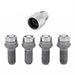 McGard 28174 Radius Seat Style Wheel Lock Bolts-Chrome - Truck Part Superstore