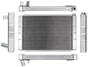 Northern Radiator 209626 19 X 31 Double Pass Radiator - Truck Part Superstore