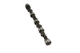 Lunati 30120741 Voodoo 241/249 Solid Flat Tappet Cam Chevrolet Small Block - Truck Part Superstore