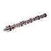 Lunati 40340512 Street/Strip 256/264 Solid Roller Cam for Ford 429-460 - Truck Part Superstore