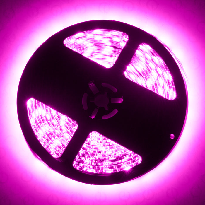 Oracle Lighting 4222-009 Exterior Flex LED Spool, Pink - Truck Part Superstore