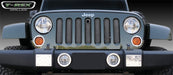 T-Rex Grilles 46482 Sport Series Grille - Truck Part Superstore