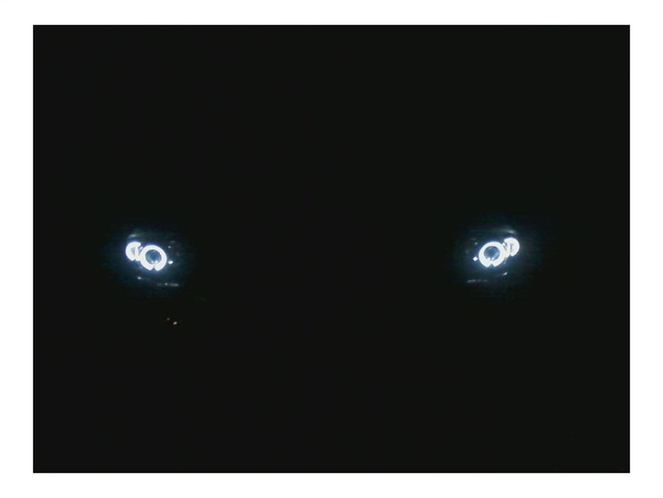 Spyder Auto 5009791 Halo Projector Headlights; 1 pc.; Bulbs Included; Pair; Chrome; - Truck Part Superstore