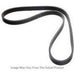 Omix 5060888 Serpentine Belt; - Truck Part Superstore