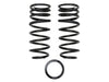 ICON Vehicle Dynamics 52750 08-UP LC 200 1.75" DUAL RATE REAR SPRING KIT - Truck Part Superstore