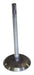 Crown Automotive Jeep Replacement 53020747AB Intake Valve; Standard; - Truck Part Superstore