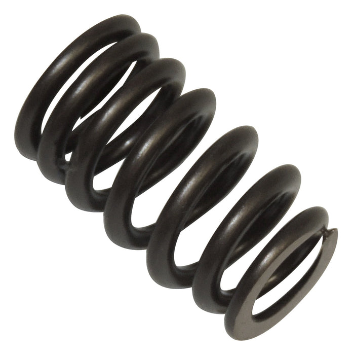 Crown Automotive Jeep Replacement 53020749AC Valve Spring; Exhaust or Intake; - Truck Part Superstore
