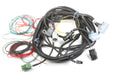 Holley EFI 534-182 Commander 950 Main Wiring Harness; Replacement; For Use w/PN[950-104]; - Truck Part Superstore