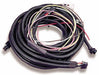 Holley EFI 534-25-1 Throttle Body Wiring Harness; 1 bbl/2 bbl Pro-Jection; - Truck Part Superstore