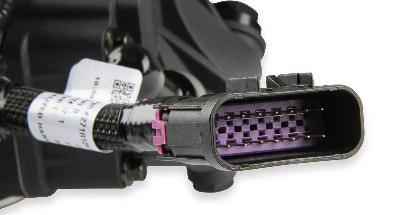 Holley EFI 534-296 Terminator X Stealth 4150 System - Truck Part Superstore