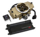 Holley EFI 550-445 Terminator Stealth EFI System - Truck Part Superstore
