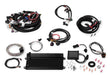 Holley EFI 550-615 Terminator® LS MPFI - Truck Part Superstore