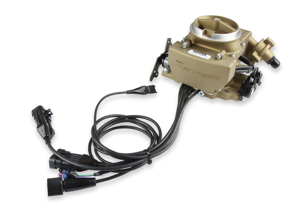 Holley EFI 550-857 Sniper EFI 2GC Large Bore - Truck Part Superstore
