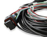 Holley EFI 553-117 Holley EFI Standalone Pro Dash; 6.86 in. Viewing Area; 4 Pin; 4 Ground Switched; - Truck Part Superstore