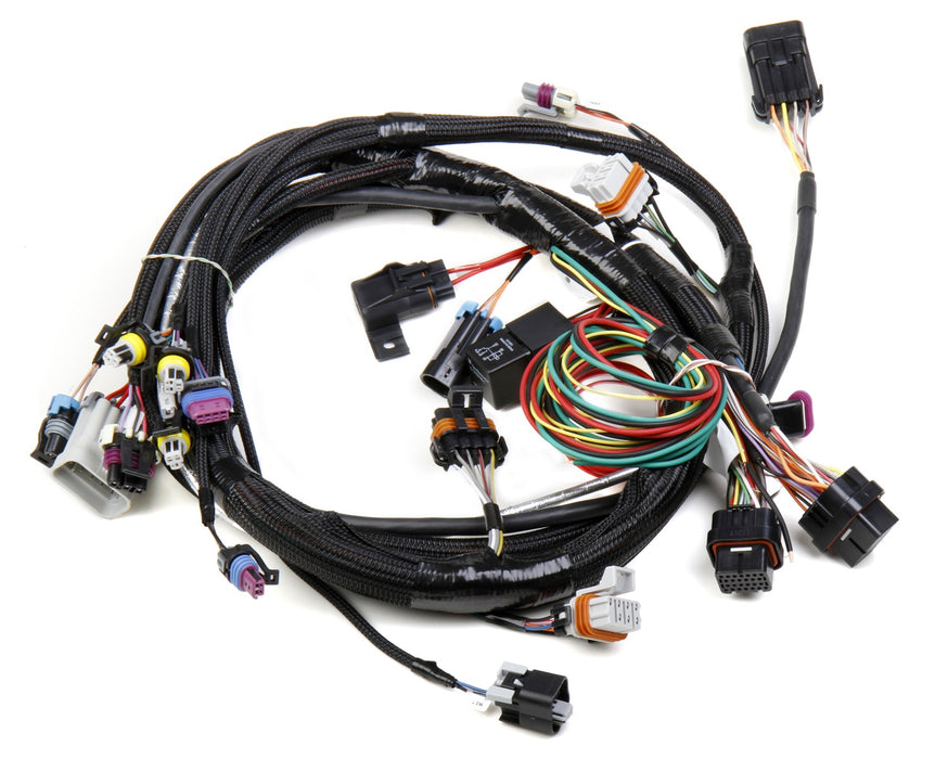 Holley EFI 558-102 Fuel Injection Wire Harness - Truck Part Superstore