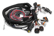 Holley EFI 558-116 HEMI Main Harness - Truck Part Superstore