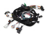 Holley EFI 558-108 Injector Harness - Truck Part Superstore
