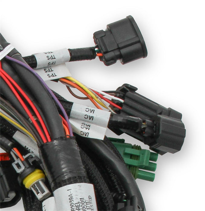 Holley EFI 558-110 Holley EFI Ford Coyote TI-VCT Engine Main Wiring Harness - Truck Part Superstore