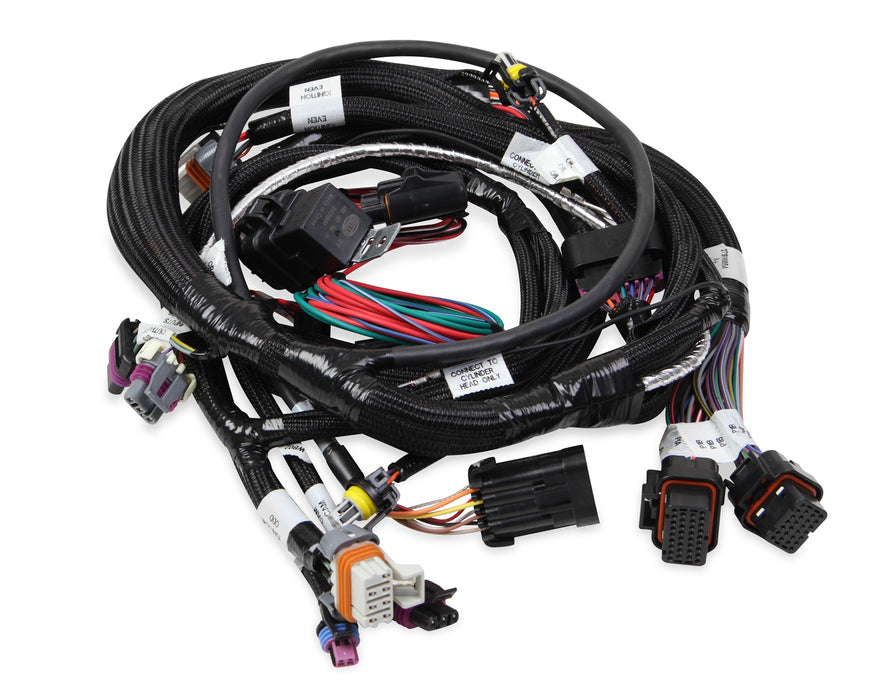 Holley EFI 558-112 Terminator® Throttle Body Harness; For Use w/GM LSX w/58x Reluctor Wheel; - Truck Part Superstore