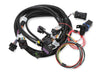 Holley EFI 558-121 Terminator® Stealth Series Main Harness; 2x4; EFI Upgrade; Plug and Play; - Truck Part Superstore