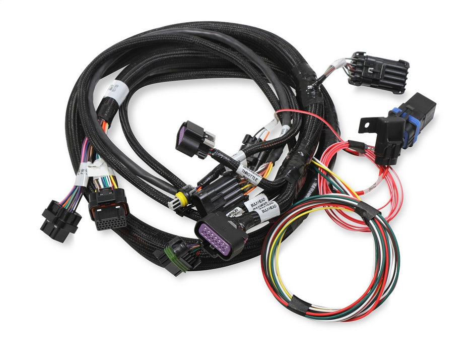 Holley EFI 558-121 Terminator® Stealth Series Main Harness; 2x4; EFI Upgrade; Plug and Play; - Truck Part Superstore