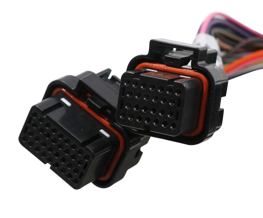 Holley EFI 558-121 Terminator® Stealth Series Main Harness; 2x4; EFI Upgrade; Plug and Play; - Truck Part Superstore