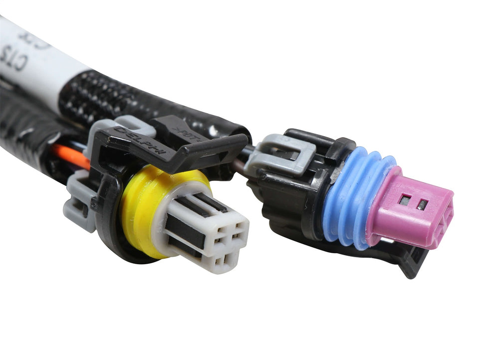 Holley EFI 558-121 Terminator® Stealth Series Main Harness; 2x4; EFI Upgrade; Plug and Play; - Truck Part Superstore