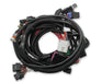 Holley EFI 558-122 Holley EFI Ford Coyote TI-VCT Engine Main Wiring Harness - Truck Part Superstore