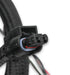 Holley EFI 558-124 Holley EFI Ford Coyote TI-VCT Sub Wiring Harness - Truck Part Superstore