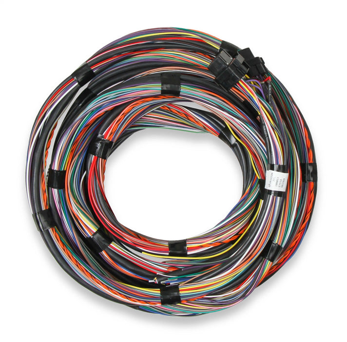 Holley EFI 558-126 Unterminated Main Engine Wire Harness - Truck Part Superstore