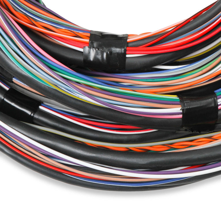 Holley EFI 558-126 Unterminated Main Engine Wire Harness - Truck Part Superstore