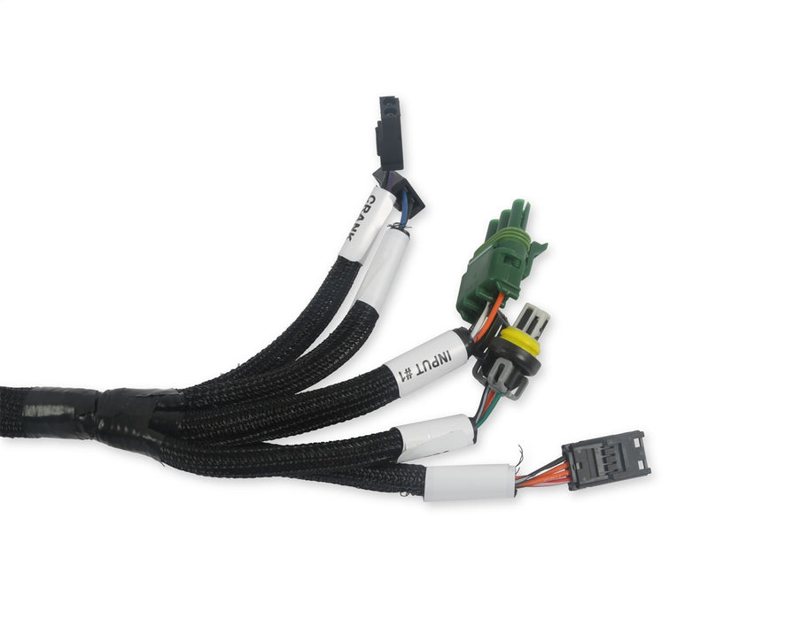 Holley EFI 558-127 Benchtop Wiring Harness - Truck Part Superstore