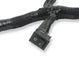 Holley EFI 558-127 Benchtop Wiring Harness - Truck Part Superstore