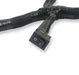 Holley EFI 558-127 Benchtop Wiring Harness - Truck Part Superstore
