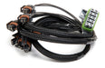 Holley EFI 558-206 Fuel Injection Wire Harness - Truck Part Superstore