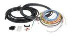Holley EFI 558-306 Universal Unterminated Ignition Harness; For HP EFI And Dominator EFI; - Truck Part Superstore