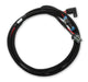 Holley EFI 558-319 Holley EFI Ford Coyote TI-VCT Main Power Wiring Harness - Truck Part Superstore
