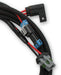 Holley EFI 558-319 Holley EFI Ford Coyote TI-VCT Main Power Wiring Harness - Truck Part Superstore