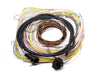 Holley EFI 558-401 Dominator EFI Connector J2A Auxiliary Harness; - Truck Part Superstore