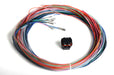 Holley EFI 558-402 Dominator EFI Connector J2B Auxiliary Harness; - Truck Part Superstore