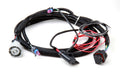 Holley EFI 558-405 Fuel Injection Wire Harness - Truck Part Superstore