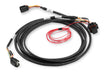 Holley EFI 558-422 Injector Harness; Ford Coyote Drive By Wire Harness; - Truck Part Superstore