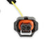 Holley EFI 558-476 Holley EFI PWM Alternator Harness - Truck Part Superstore