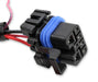 Holley EFI 558-490 Sniper EFI Main Wiring Harness - Truck Part Superstore