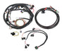 Holley EFI 558-504 Universal Multi-Point Main Harness - Truck Part Superstore