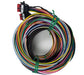 Racepak 580-CA-HARNST Street SmartWire Wire Harness; Replacement Part; Plug In; - Truck Part Superstore