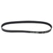 Powermaster Performance 60345 Serpentine Drive Belt; Fits w/BBC w/1471 Blower; Incl. In Kit PN[8-780]; - Truck Part Superstore