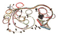 Painless Wiring 60508 Fuel Injection Wiring Harness; Mechanical Throttle; Standard Length; - Truck Part Superstore