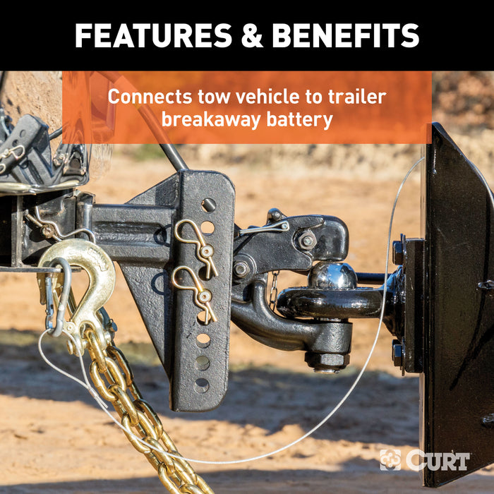 CURT 52011 CURT 52011 Trailer Breakaway Switch - Truck Part Superstore