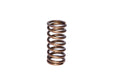 COMP Cams 974-1 Engine Valve Spring - Truck Part Superstore